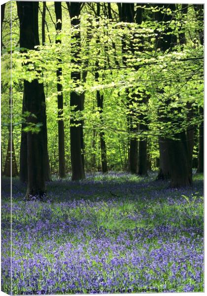 Bluebell Woods Cotswolds x Canvas Print by Simon Johnson