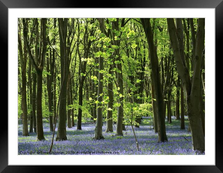 Bluebell EWoodland Cotswolds Framed Mounted Print by Simon Johnson