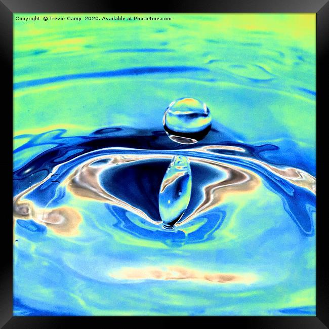Water Droplet - 02 Framed Print by Trevor Camp