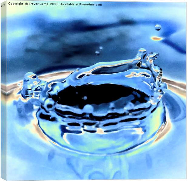 Water droplet impact Canvas Print by Trevor Camp