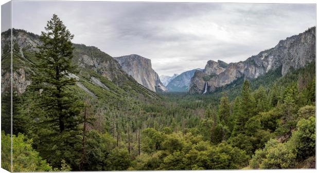 Tunnel View Canvas Print by Ray Hill