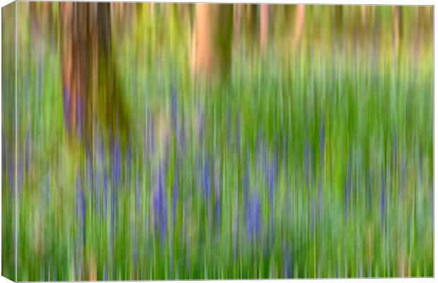 Bluebells in Woods Abstract Canvas Print by Derek Beattie