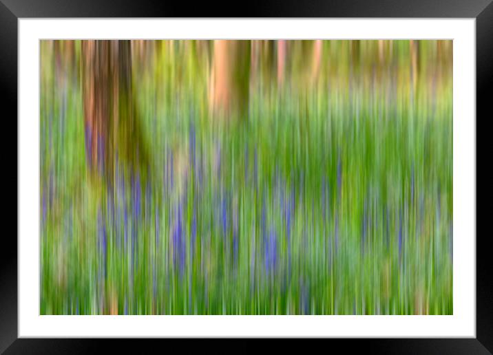 Bluebells in Woods Abstract Framed Mounted Print by Derek Beattie