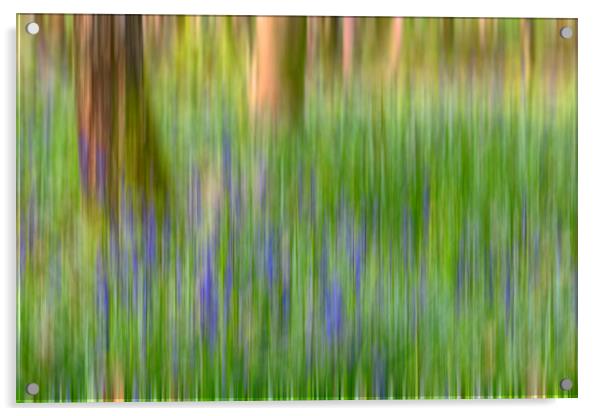 Bluebells in Woods Abstract Acrylic by Derek Beattie