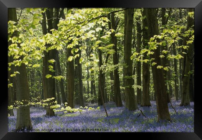 Cotswold wood Framed Print by Simon Johnson