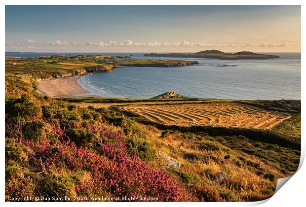 Whitesands Bay with Ramsey Island, Pembrokeshire Print by Dan Santillo