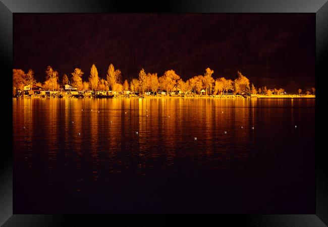 Lake Brienz Framed Print by Svetlana Sewell