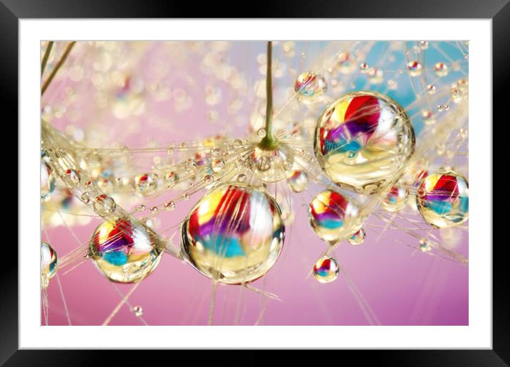 Rainbow Balls Framed Mounted Print by Sharon Johnstone