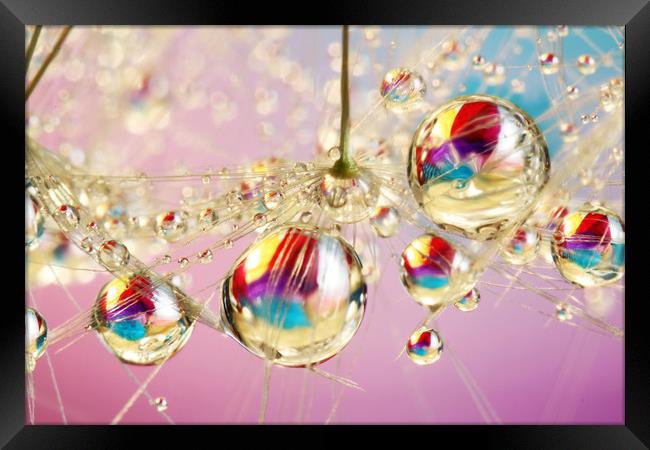 Rainbow Balls Framed Print by Sharon Johnstone