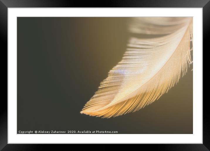Dream Feather Framed Mounted Print by Aleksey Zaharinov
