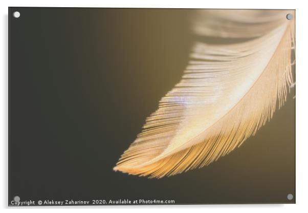 Dream Feather Acrylic by Aleksey Zaharinov
