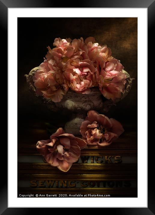 Fallen Tulips Framed Mounted Print by Ann Garrett