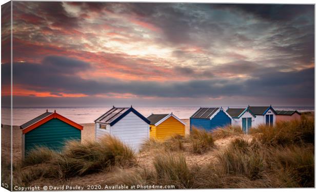 Southwold beach huts at sunrise Suffolk Canvas Print by David Powley