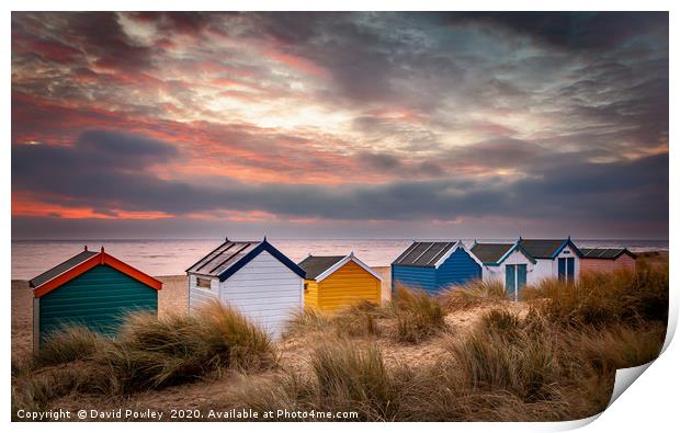 Southwold beach huts at sunrise Suffolk Print by David Powley