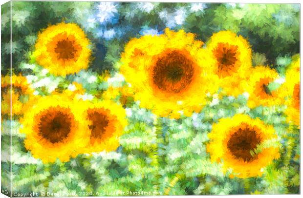 Sunflower Dreams Art Canvas Print by David Pyatt