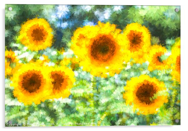 Sunflower Dreams Art Acrylic by David Pyatt