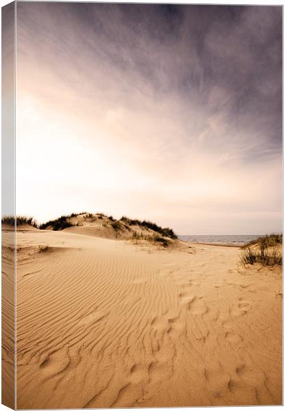 Race you to the sea! Holkham, Norfolk Canvas Print by Sarah Partridge