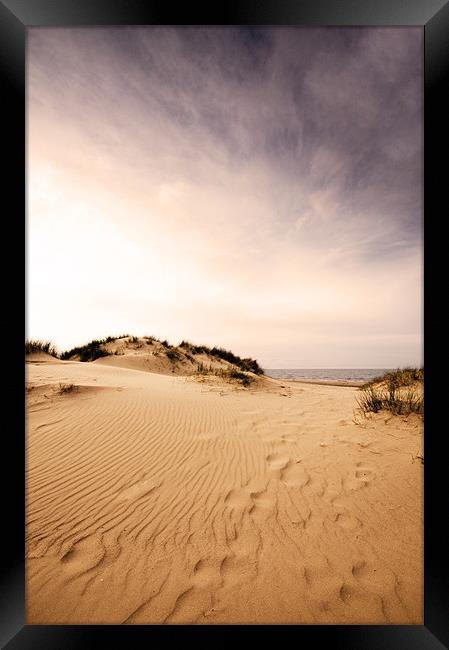 Race you to the sea! Holkham, Norfolk Framed Print by Sarah Partridge