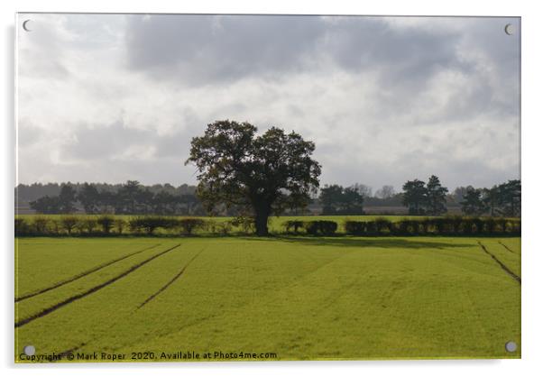 Tree on edge of field with cloudy sky Acrylic by Mark Roper