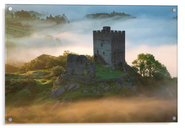 Dolwyddelan castle Acrylic by Rory Trappe