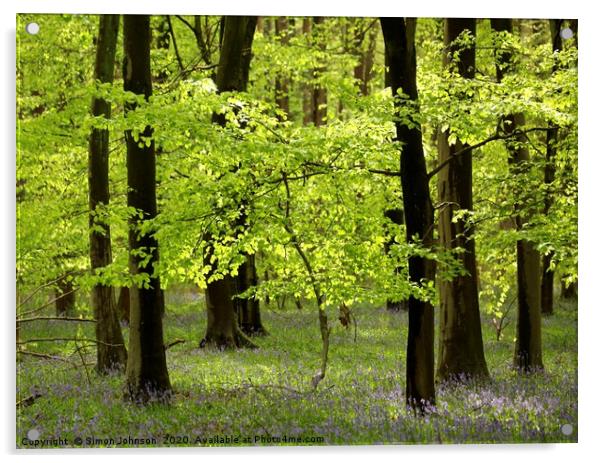 Spring breeze beech wood Acrylic by Simon Johnson