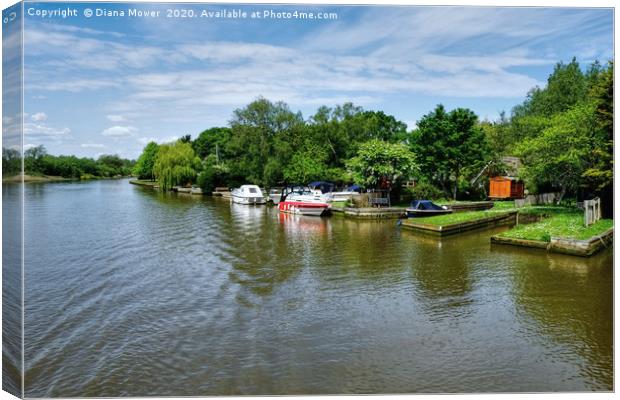 The Picturesque River Waveney   Canvas Print by Diana Mower