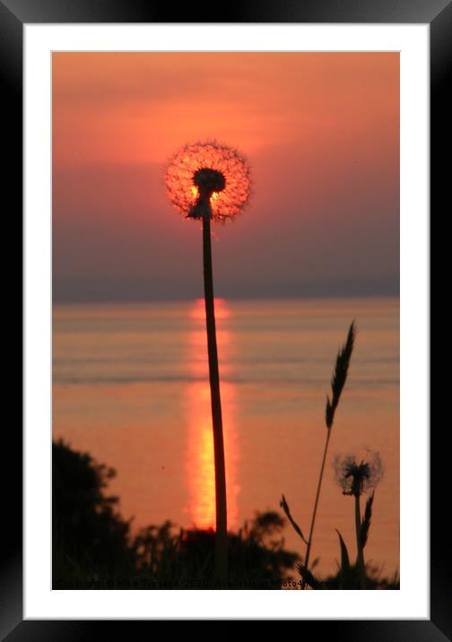 Clocking the sunset Framed Mounted Print by Mike Toogood