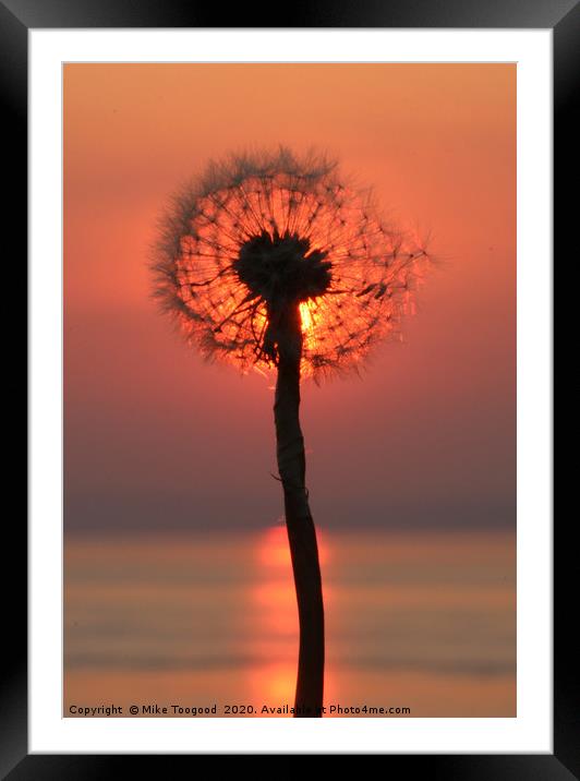 Clocking the sunset Framed Mounted Print by Mike Toogood