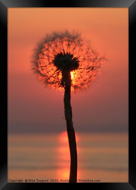 Clocking the sunset Framed Print by Mike Toogood