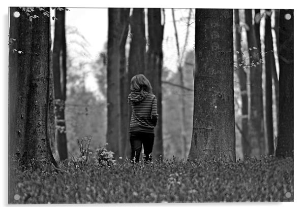 woodland stroll Acrylic by Donna Collett