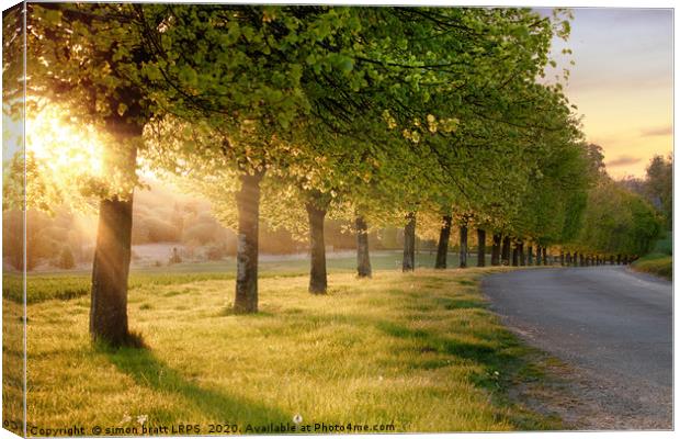 Rural road lined with trees at sunset Canvas Print by Simon Bratt LRPS