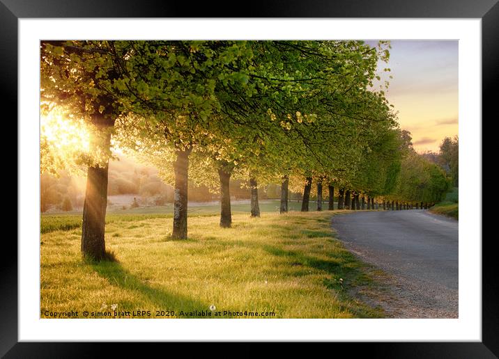 Rural road lined with trees at sunset Framed Mounted Print by Simon Bratt LRPS