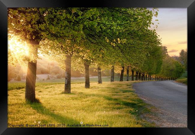 Rural road lined with trees at sunset Framed Print by Simon Bratt LRPS