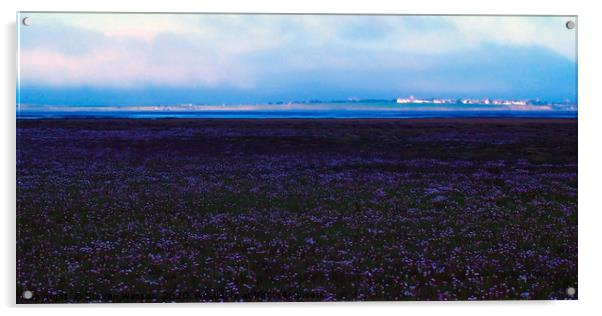 Lindisfarne Saltmarsh Acrylic by Steven Watson