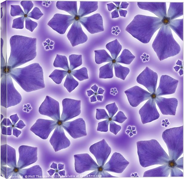 A pattern of isolated Periwinkle blossom on a purp Canvas Print by Phill Thornton