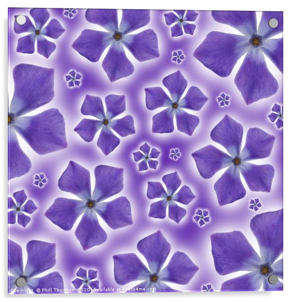 A pattern of isolated Periwinkle blossom on a purp Acrylic by Phill Thornton