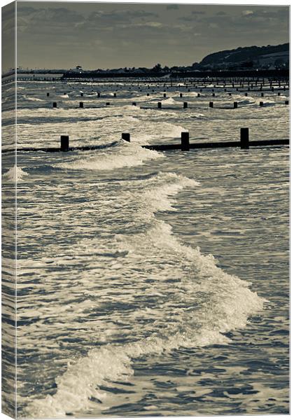 Returning tide Canvas Print by S Fierros