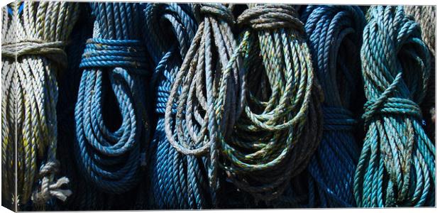 A Load of Old Rope Canvas Print by Steven Watson