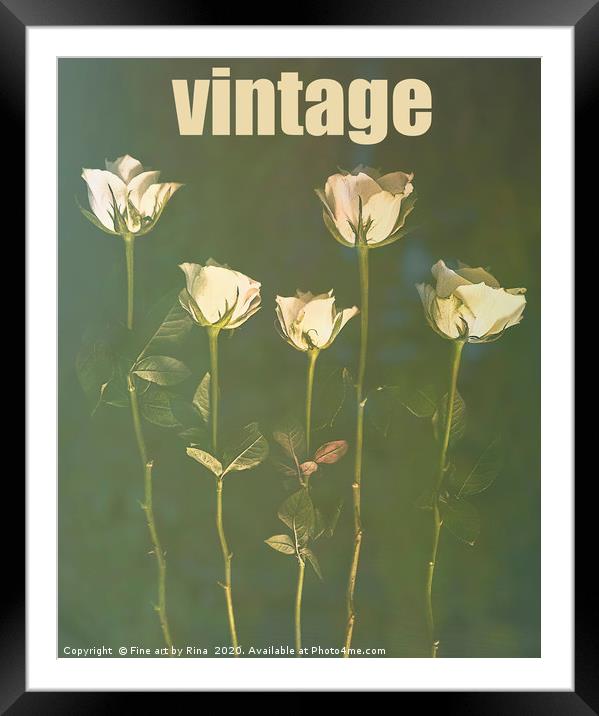 Vintage Roses, with added text Framed Mounted Print by Fine art by Rina