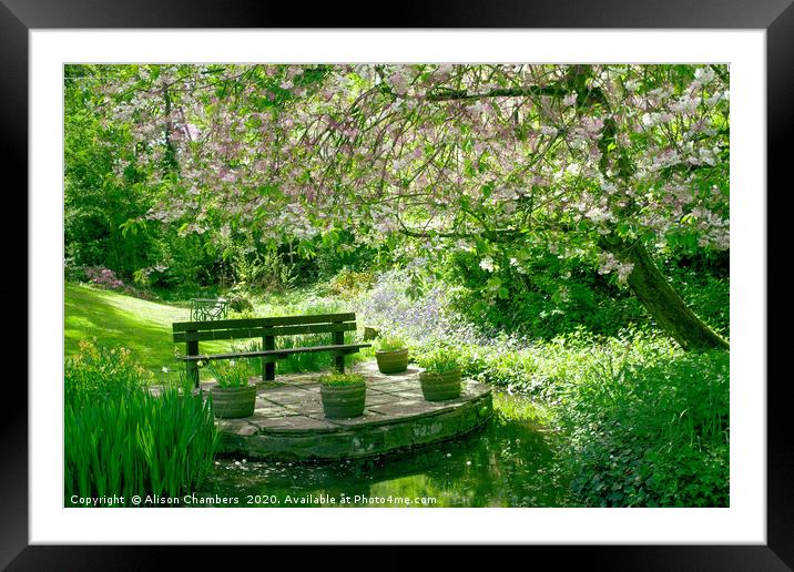 The Village Pond Framed Mounted Print by Alison Chambers