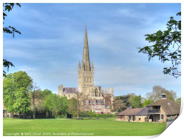 Norwich Cathedral April 2020 Print by Sally Lloyd
