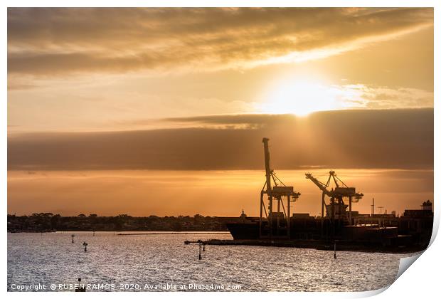 Ships and cranes silhouettes at the Melbourne Port Print by RUBEN RAMOS