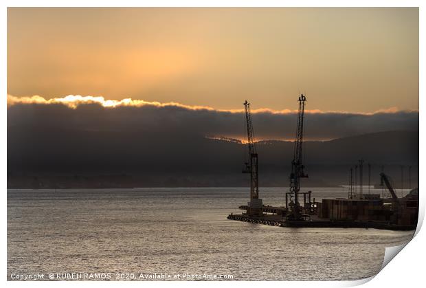 Two shipping cranes at the Bell Bay port in Tasman Print by RUBEN RAMOS