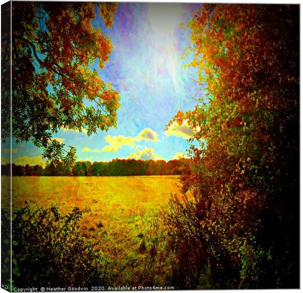 Sun Flare Canvas Print by Heather Goodwin