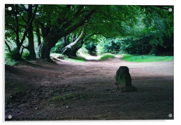 The Triscombe Stone 2 Acrylic by Steven Watson