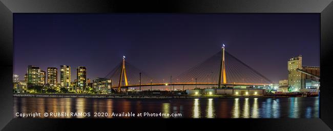 The Anzac Bridge at night in Sydney. Framed Print by RUBEN RAMOS