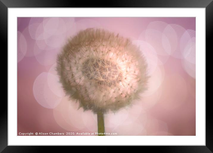 Precious Time Framed Mounted Print by Alison Chambers