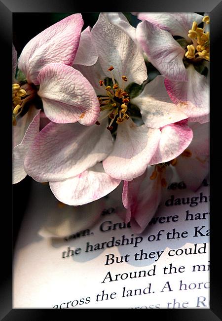 Blossom Framed Print by Doug McRae