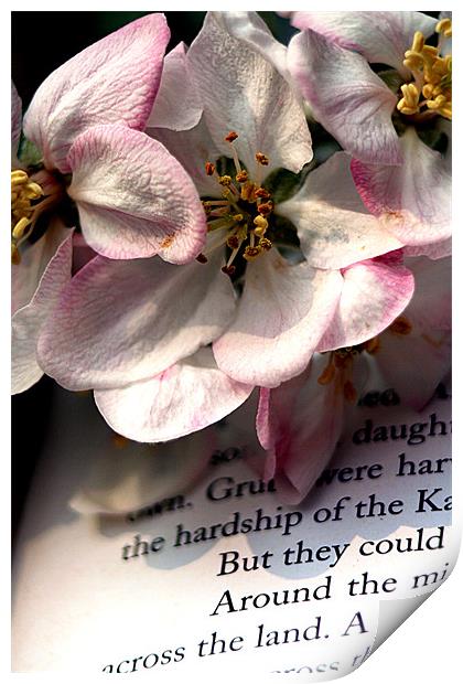 Blossom Print by Doug McRae