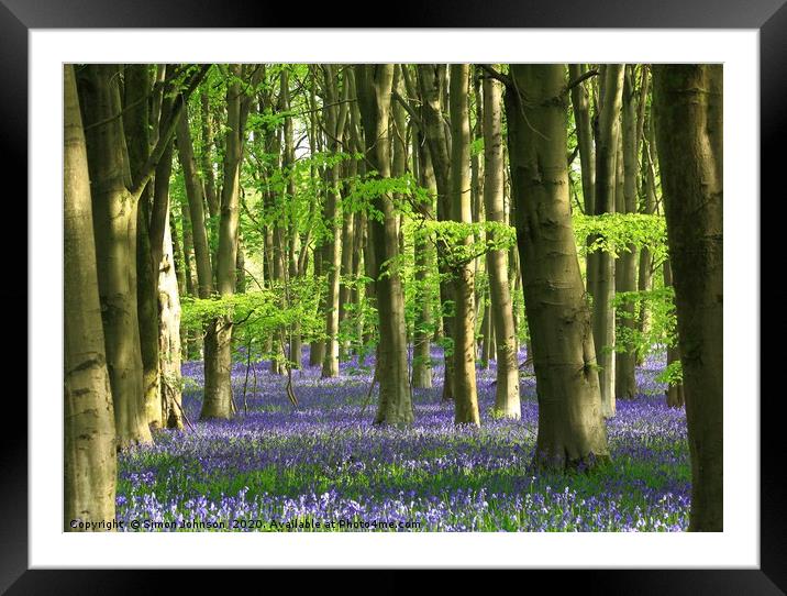 Beech wood and bluebells Framed Mounted Print by Simon Johnson